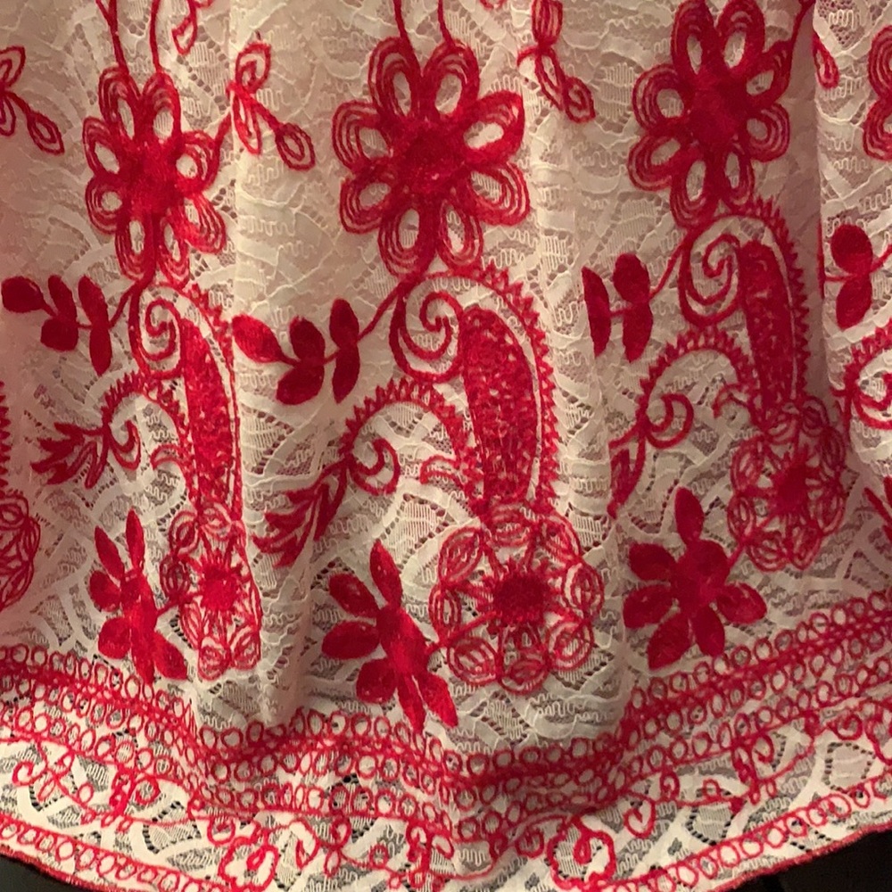Lace Dress - Picture 5 of 5